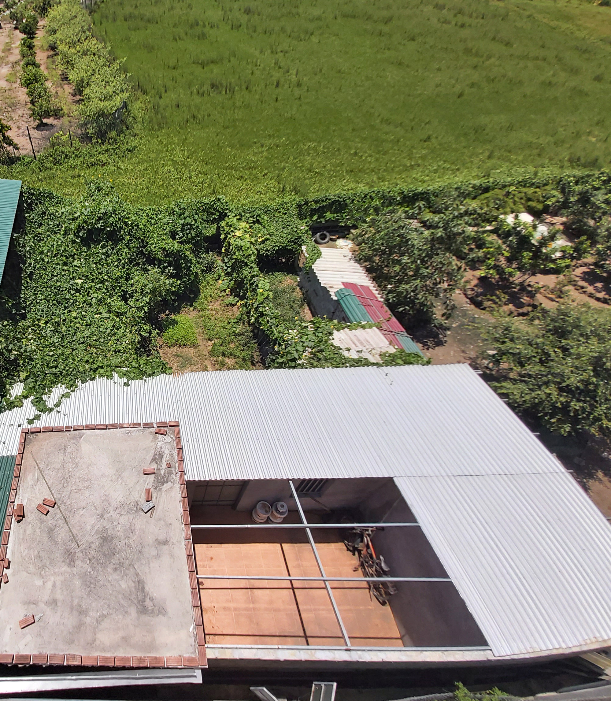 Xây dựng trên đất 5% là vi phạm pháp luật